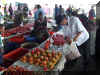 markt 001.JPG (118392 bytes)